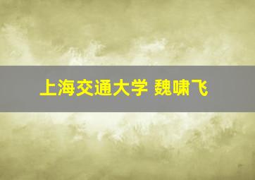 上海交通大学 魏啸飞